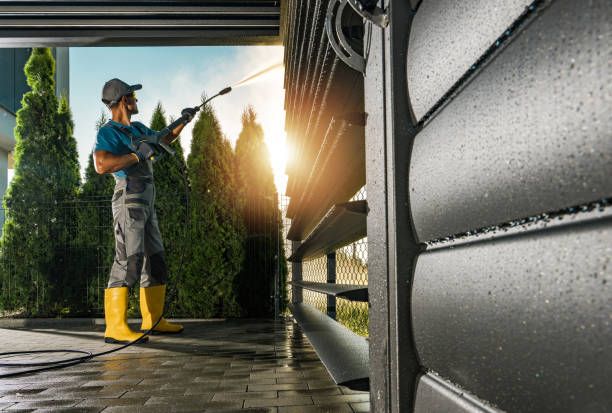 Best Roof Washing  in Pearland, TX