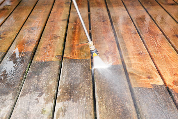 Best Fence Cleaning  in Pearland, TX